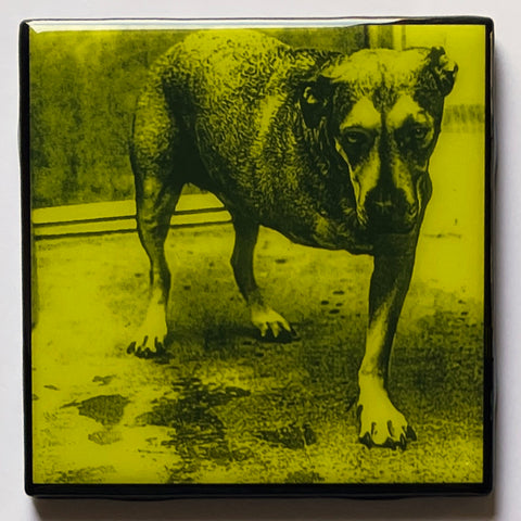 ALICE IN CHAINS Coaster Custom Ceramic Tile s/t